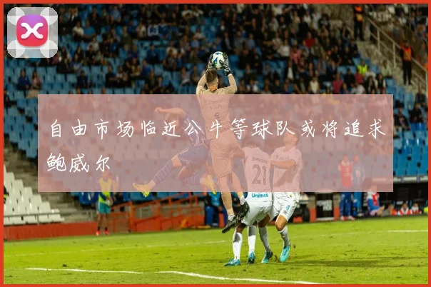 自由市场临近公牛等球队或将追求鲍威尔
