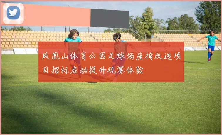 凤凰山体育公园足球场座椅改造项目招标启动提升观赛体验