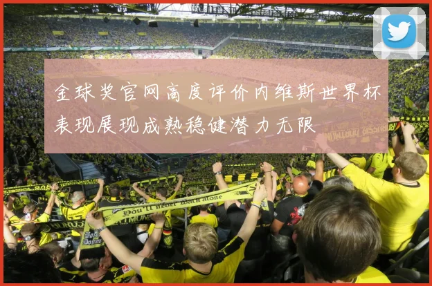 金球奖官网高度评价内维斯世界杯表现展现成熟稳健潜力无限
