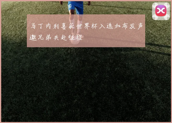 马丁内利喜获世界杯入选加布发声邀兄弟共赴征程